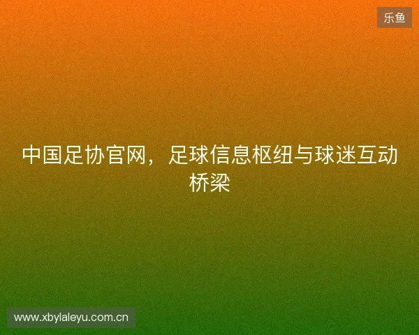 中国足协官网，足球信息枢纽与球迷互动桥梁